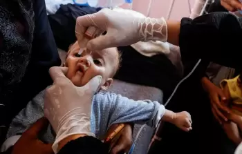 صورة من الأرشيف