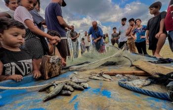 قطاع الصيد في غزة لا يزال يواجه تداعيات حرب الإبادة وقيود الاحتلال