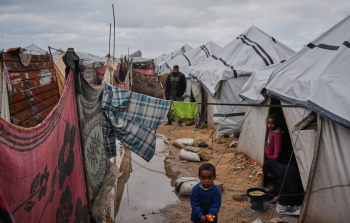 صورة من الأرشيف