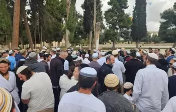 مستوطنون يدنسون المسجد الأقصى (أرشيفية)