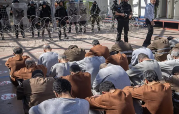 صورة من الأرشيف