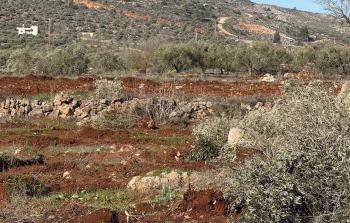 صورة أرشيفية