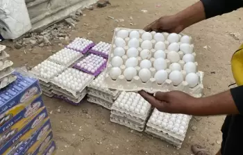 مع بداية رمضان بغزة.. البيض 