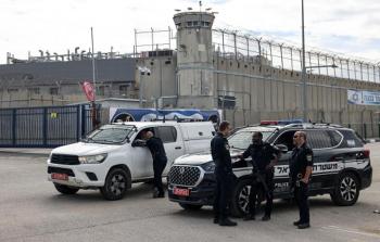 صورة من الأرشيف