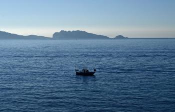 تشير النتائج إلى أن العوالق الدقيقة باتت تسجّل ملامح ظاهرة تعرف بـ