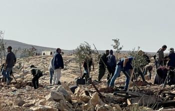 صورة من الأرشيف