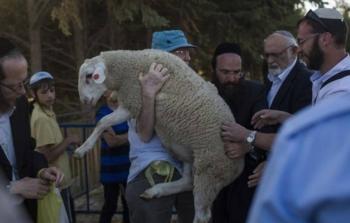 حملات إسرائيلية متصاعدة لفرض قربان الفصح