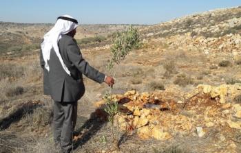 صورة من الأرشيف