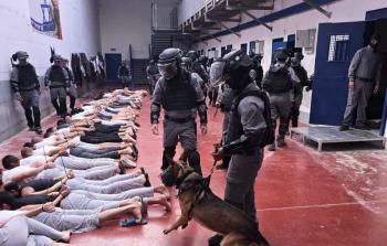 صورة من الأرشيف