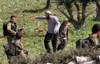 هجوم المستوطنين على أشجار الزيتون في الضفة