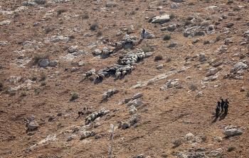 هجمات المستوطنين ارتفعت 25% مع بدء العدوان الإسرائيلي الأمريكي على إيران