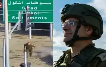 تعيين رومان غوفمان رئيسًا لـ 