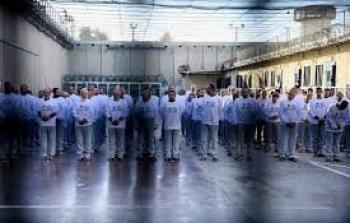 الأسرى الفلسطينيون في سجون الاحتلال