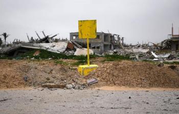 صورة من الأرشيف