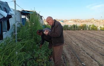 الخبير في الزراعة العضوية والحيوية، نبيل الحرازين