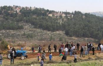 صورة أرشيفية لزراعة أشجار على أراض مصادرة في بيت إكسا