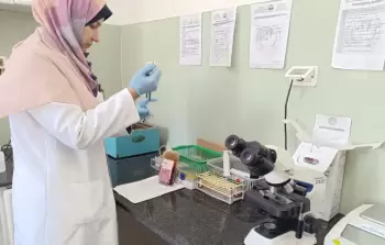 صورة أرشيفية