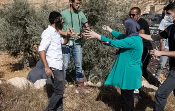 صورة أرشيفية