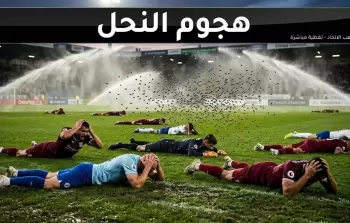 صورة أرشيفية