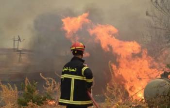 ارتفاع حصيلة ضحايا حرائق الغابات المندلعة في عدد من ولايات شرق الجزائر إلى 12 قتيلًا