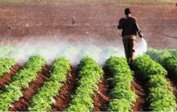 السلطة تطالب مزارعي الأغوار بسداد 62 مليون شيكل بدل أثمان مياه متراكمة (أرشيف)