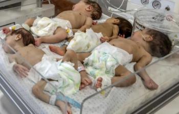 غزة تسجل 5493 مولودًا و203 حالات وفاة خلال أغسطس