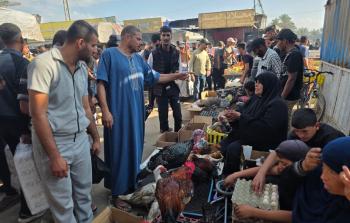 سوق الطيور يعود إلى مواصي خان يونس بعد الإبادة