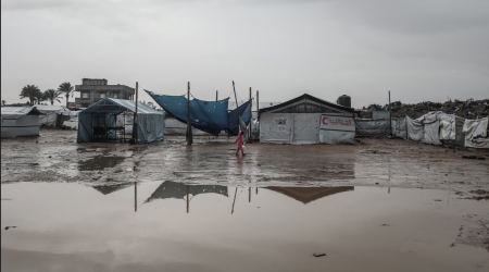 صورة من الأرشيف