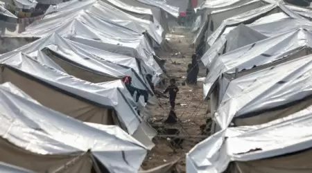 الخيمة في غزة… حياة تُدار تحت وطأة النزوح