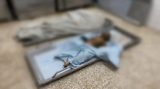 صورة من الأرشيف