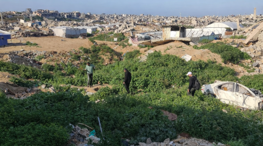 الخيام بين الركام… صمودٌ يومي في مخيم “الرواسي الشامخات” بحي الزيتون