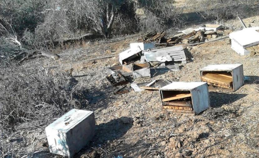 تربية النحل في غزة... خسائر فادحة وقطاع على حافة الاندثار