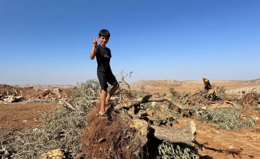 المغير تشهد سرقة منهجية للأراضي على مرأى العالم