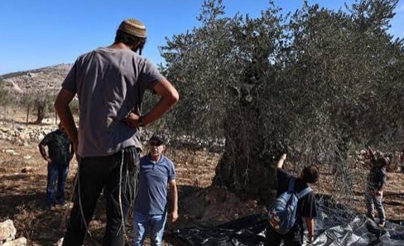 منظمة البيدر توثق 2200 انتهاك إسرائيلي بالضفة في سبتمبر