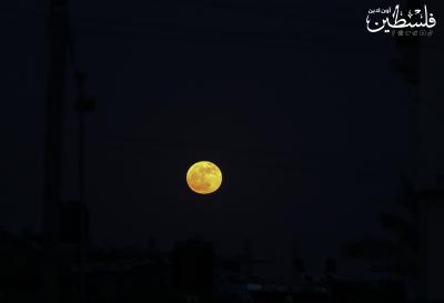 القمر العملاق في سماء غزة (4)