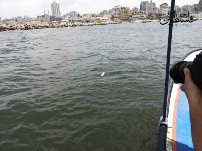 رسائل سياسية إلى البحر..   أهالي غزة يعبرون عن آمالهم بتحقيق الحرية البحرية لهم (4)