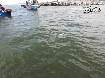 رسائل سياسية إلى البحر..   أهالي غزة يعبرون عن آمالهم بتحقيق الحرية البحرية لهم (3)