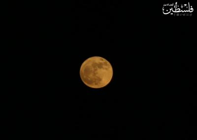 القمر العملاق في سماء غزة (6)