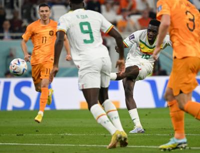 كأس العالم - السنغال وهولندا (13)