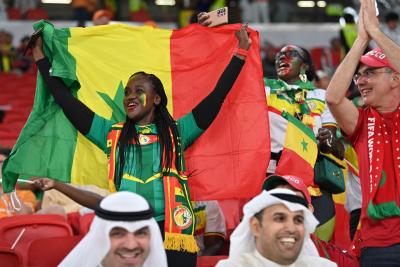 كأس العالم - السنغال وهولندا (7)