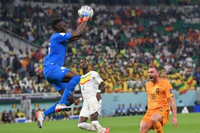 كأس العالم - السنغال وهولندا (12)