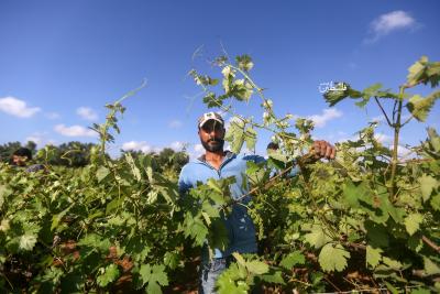 080523_GAZA_MZ_00 (35)