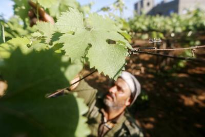 080523_GAZA_MZ_00 (39)