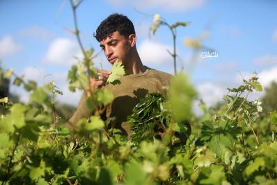 080523_GAZA_MZ_00 (13)