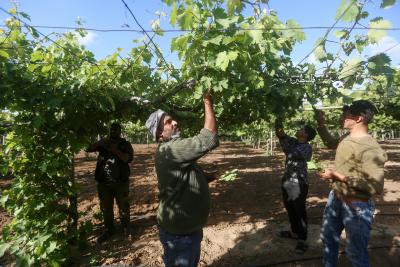 080523_GAZA_MZ_00 (37)