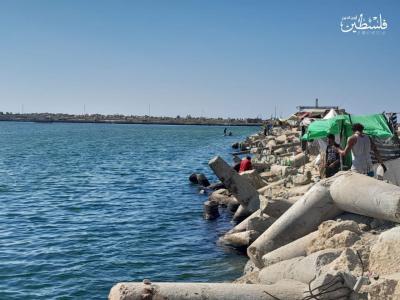 photo_2024-09-10_16-55-09 (2)