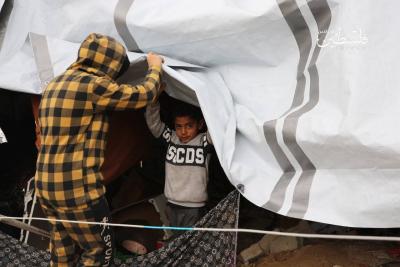 photo_2025-02-05_17-29-56