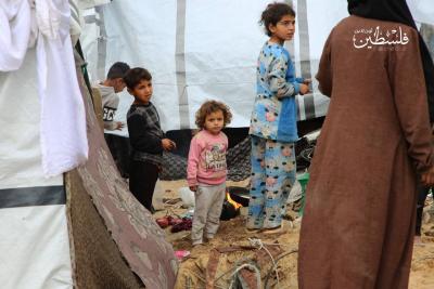 photo_2025-02-05_17-29-54