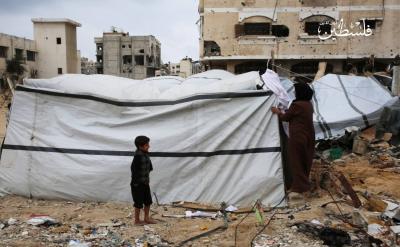 photo_2025-02-05_17-29-51