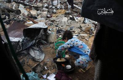 photo_2025-02-05_17-29-55